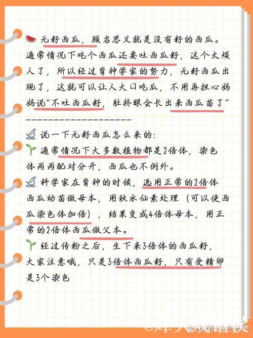全面探索51吃瓜:深入了解其内在奥秘 全面探索51吃瓜:深入了解其内在奥秘