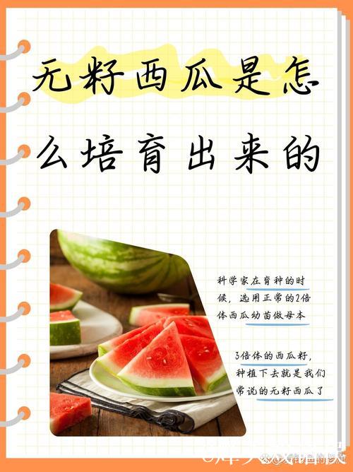 全面探索51吃瓜:深入了解其内在奥秘 全面探索51吃瓜:深入了解其内在奥秘